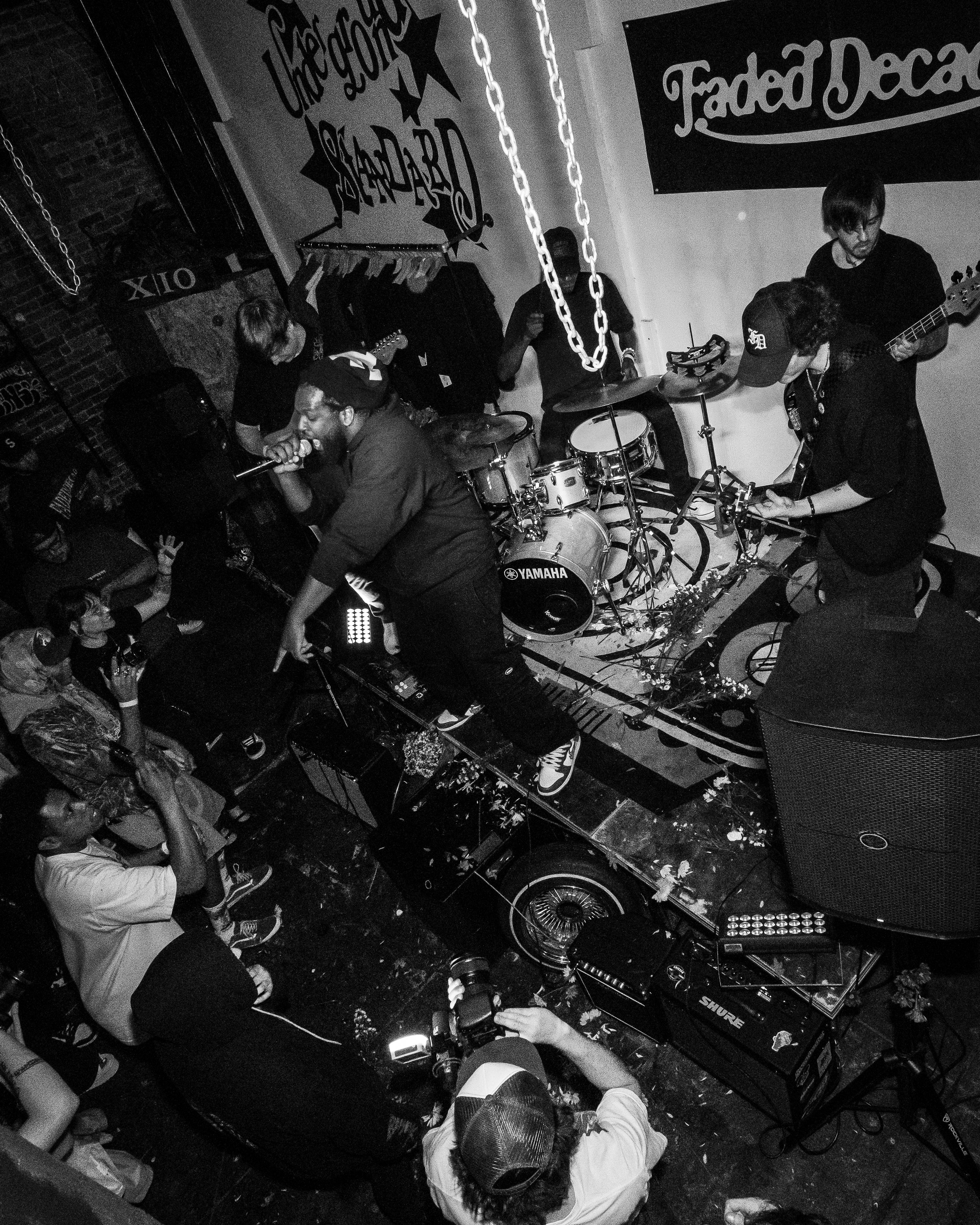 Underground Standard Roars to Life with Debut Single “Animals”